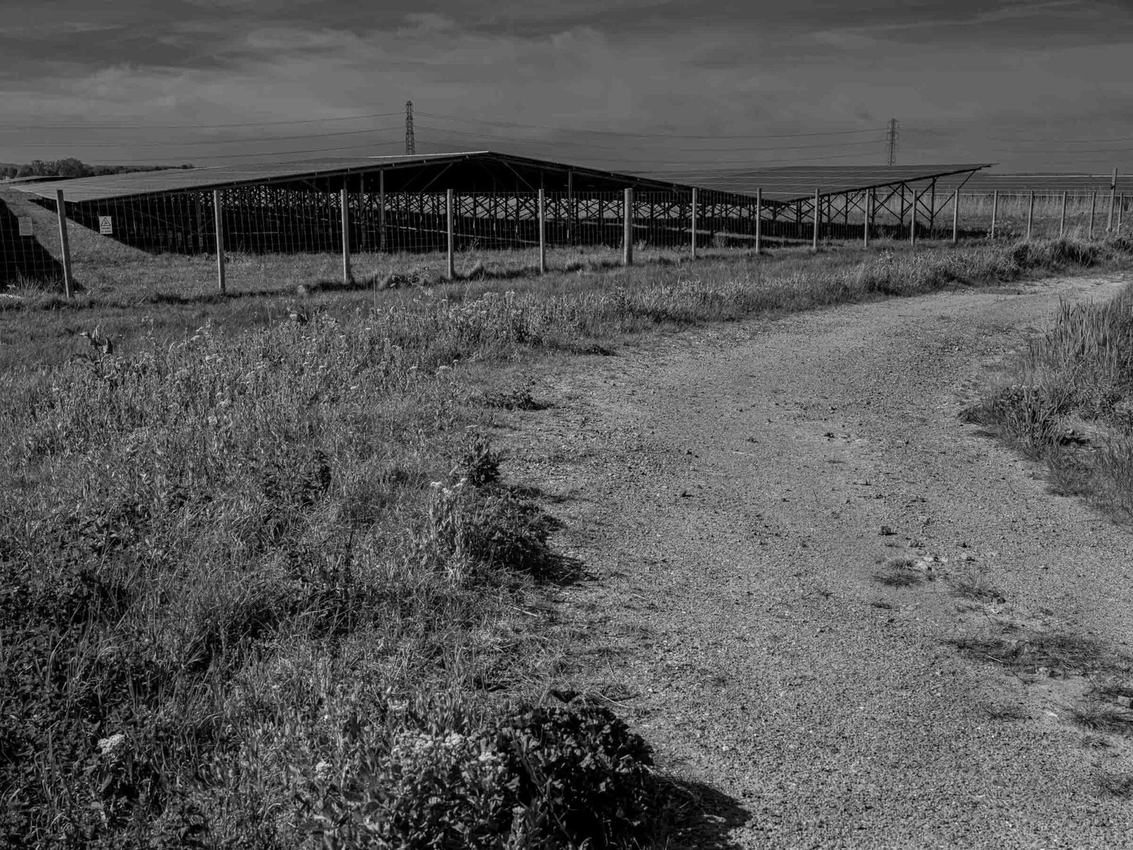 Black and white photograph of the perimeter fence at Cleve Hill Solar Park with pylons visible behind the solar array, Kent