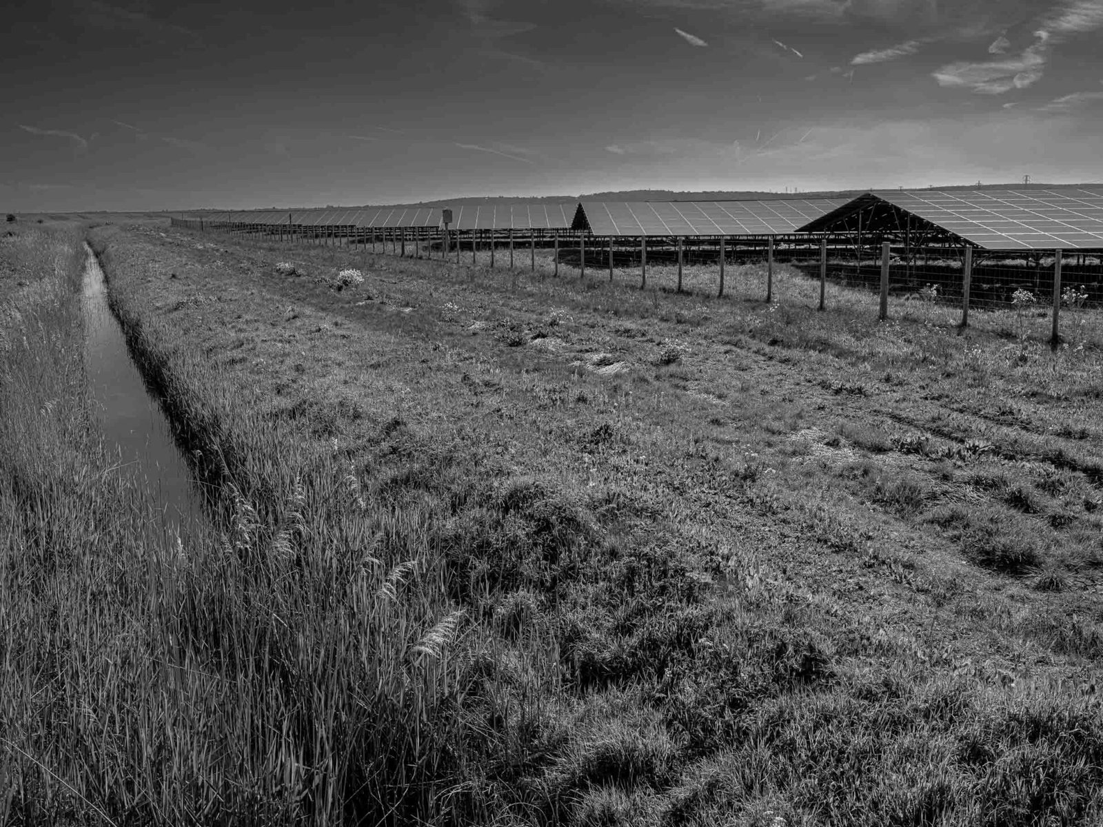 Black and white photograph of solar panels at Cleve Hill Solar Park viewed across a drainage channel, Kent marshland