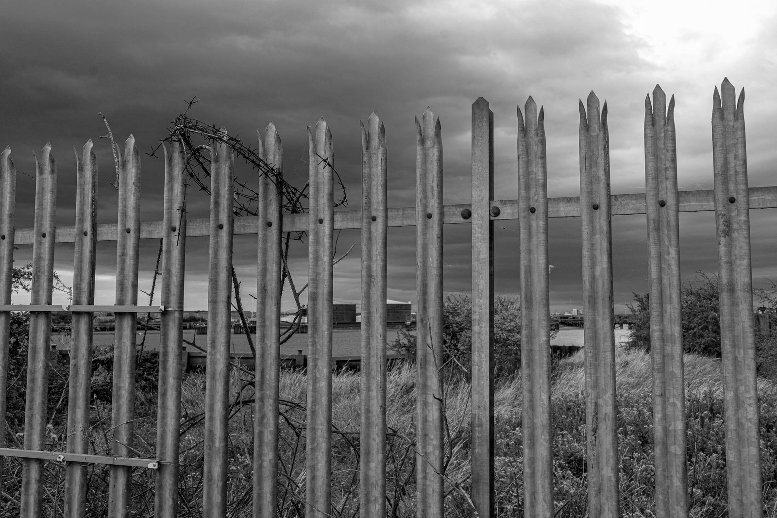 Riverside fence under overcast sky; bare twisted barbed wire caught across fence slats; grey water of Thames visible beyond fenc