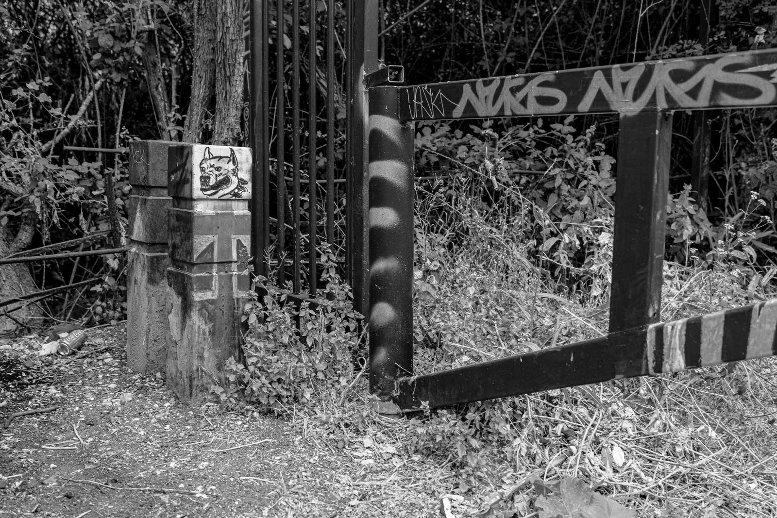 Black metal security gate with welded construction; grsaffite of stylised dog/bulldog head and union jack on gate; overgrown vegetation and wild plants around gate frame; rural/post-industrial setting.